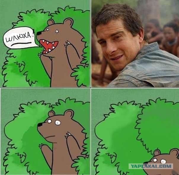 Медведи почти на все случаи жизни