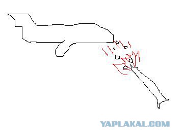 Фото с места крушения малазийского Боинга 777