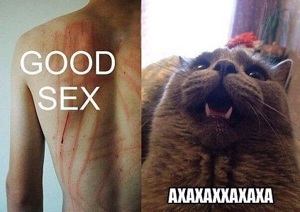 Смешные картинки из соц. сетей.