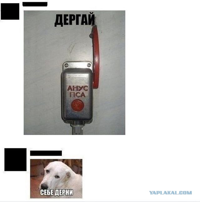 Немного смешных картинок из сети