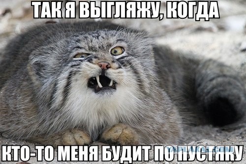 А вот и новые картинки!