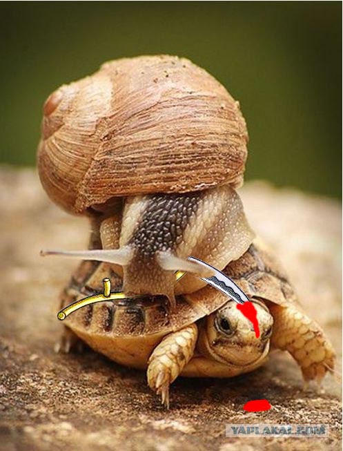 У каждого своя смерть...