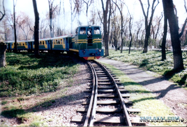 Московская детская железная дорога.