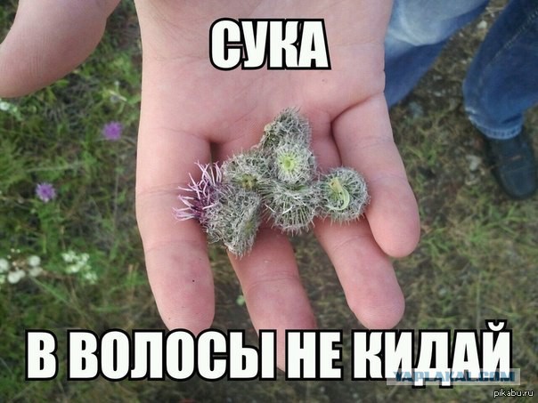 Детство без гаджетов...