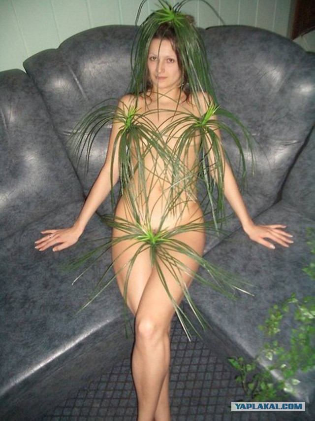 Фотки из сетей, глазовытекательные 18+
