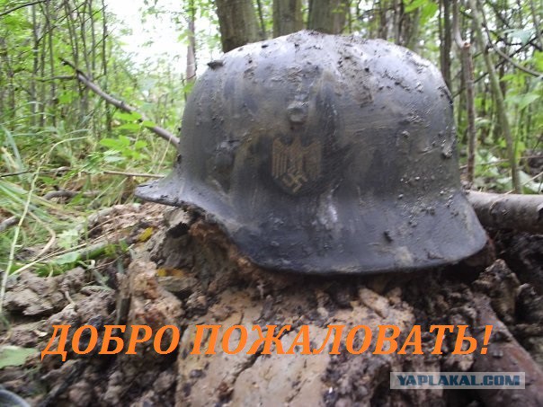 Украинские СМИ требуют перенести войну