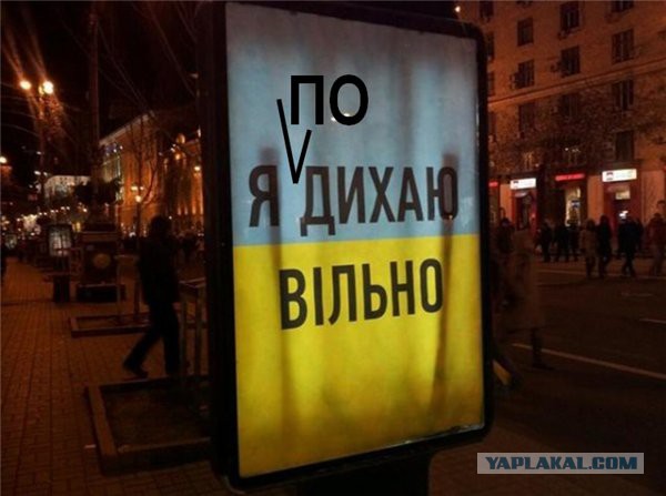 Политическая солянка #3