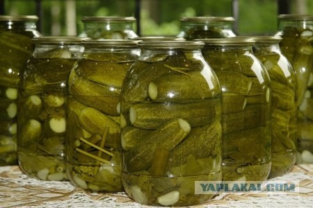 Домашние заготовки