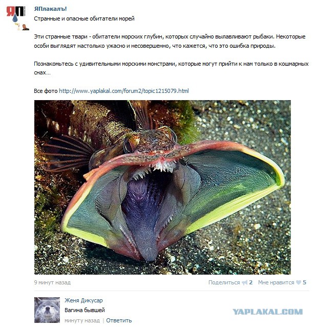 Картинки на субботу