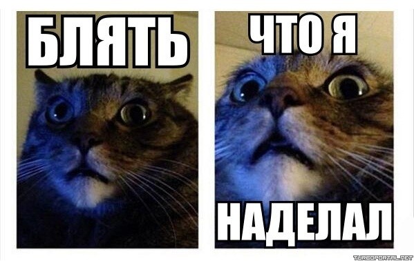 - Вова, что я наделала?