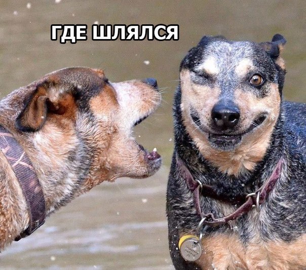 Картинки на пятницу