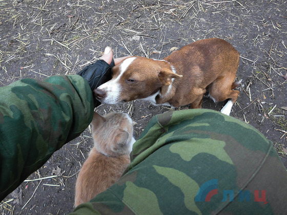 Донбасс. Луганск. События и лица ушедшего года