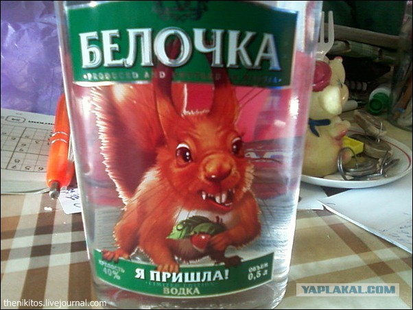 История одной белки