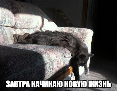 Всяко - разно...картинки