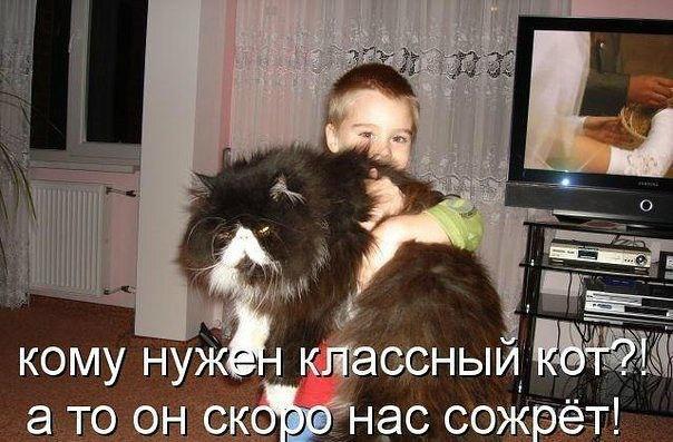 Мохнатые беспредельщики