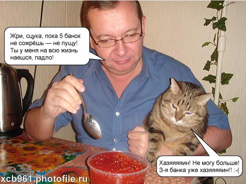 Фотожаба: Правильное питание для кота