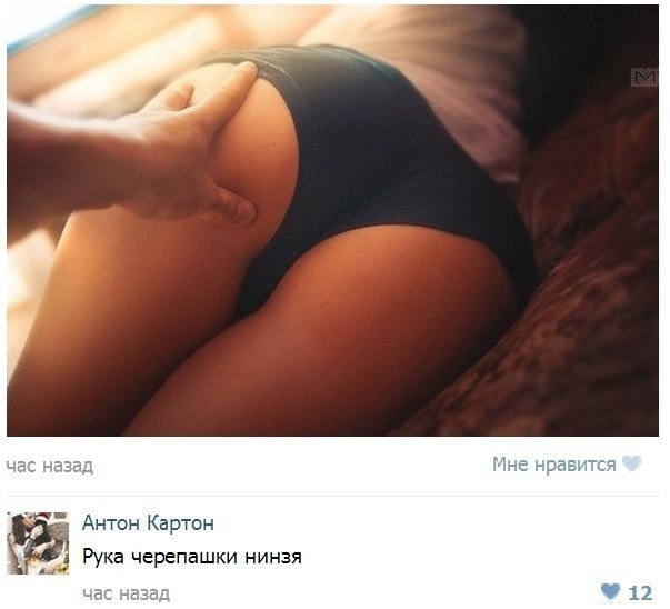 Картинки и гифки с юмором в честь дня малинового варенья