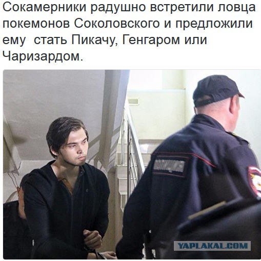 "Онжеребенок" или о несчастном видеоблоггере с покемонами