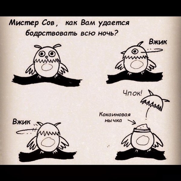 Юмор не для всех