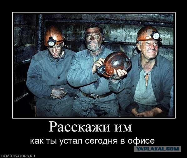 Коллега сама себе приятная