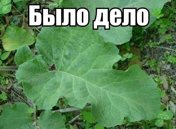 Всякое разное из сети