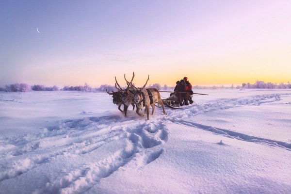 Моменты, запечатлённые на фото и просто позитив 5