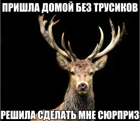 Житель Краснодара случайно снял жену с любовником, решив проследить за сыном