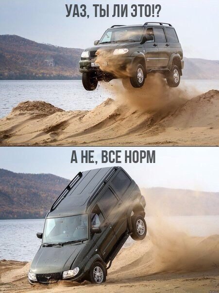 Подборка безудержного веселья