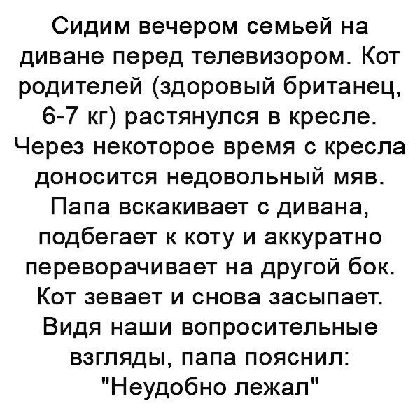 Некоторые наблюдения и высказывания