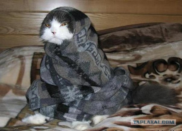 Маленькие удобства большого линукса