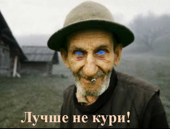 Наблюдения и записки сумасшедшего