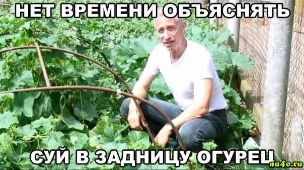 Секс с веганкой