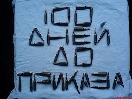 Лысый Ёжик