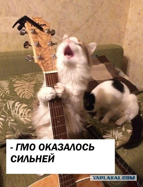 Оооо, моя оборона!