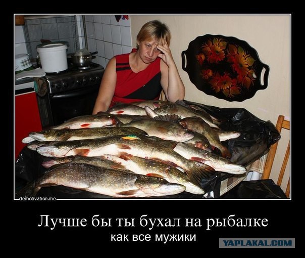 Старые добрые баяны, на случай если кто то стал забывать