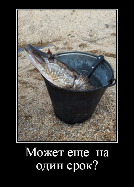 Рыбалка Путина на щуку (2017)