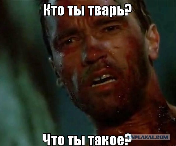 Альтернативное мнение о Путине