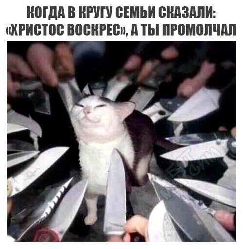 Суета суетой, а картинкам время уделять надо!