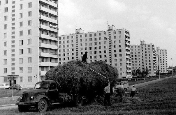 Картинки по-приколу