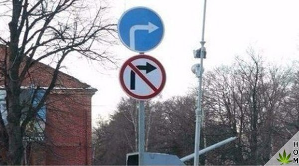 Да что тут вообще происходит?
