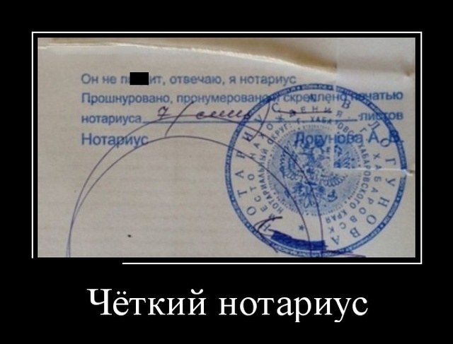 12235424.jpg