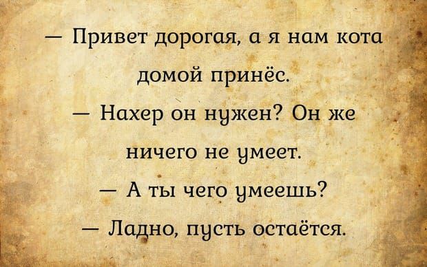 Немного картинок для настроения 04.04.20