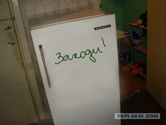 Холодильник в общаге