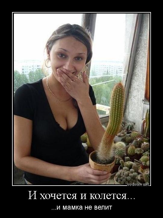 Нашлось еще немного слегка пошлых картинок с надписями 16+ (22.07.2020)