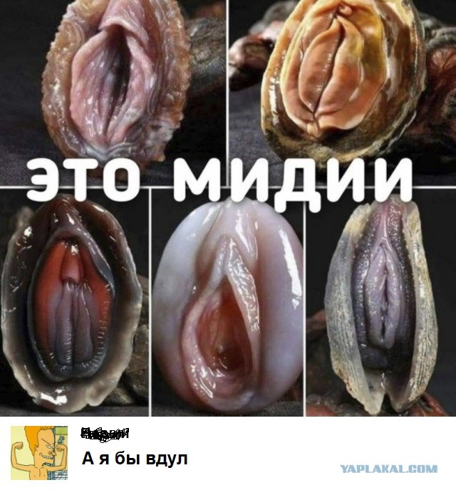 Бредзона 11.01.21