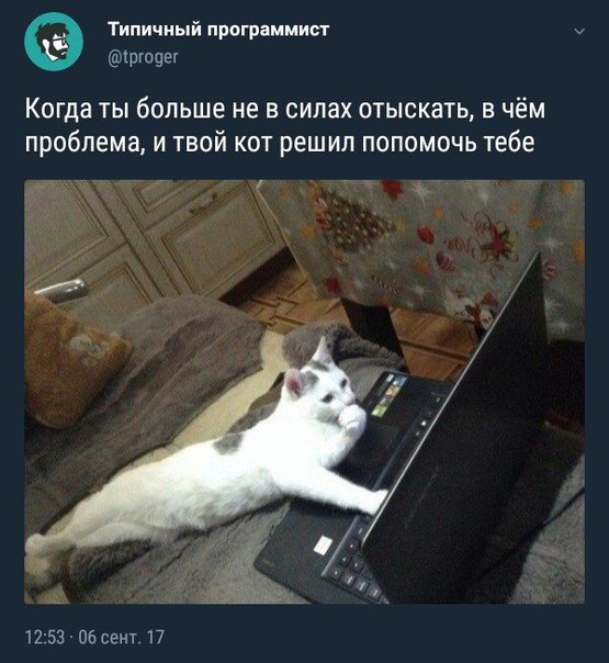 Кретинизмы из KO и KV 30.01.21