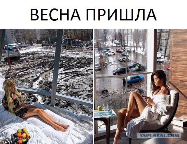 Давайте поможем правительству сэкономить 62 миллиона
