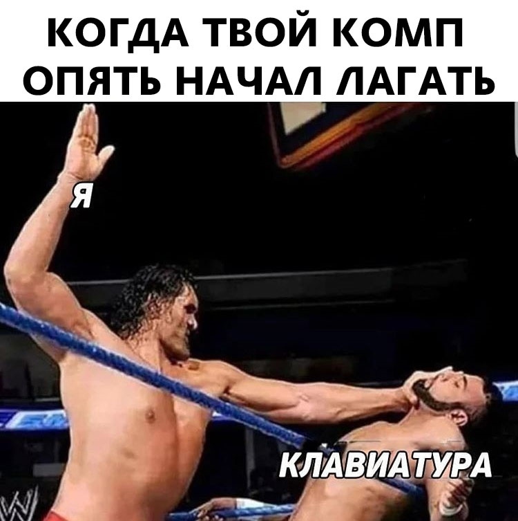 15443424.jpg