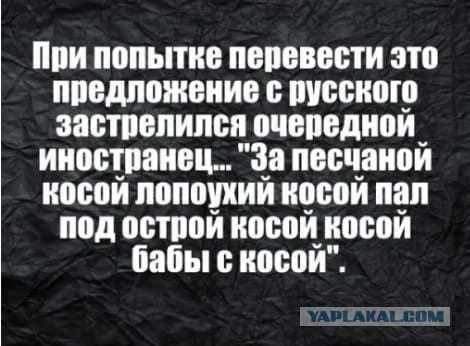 Весёлый полтишок 3.08.21