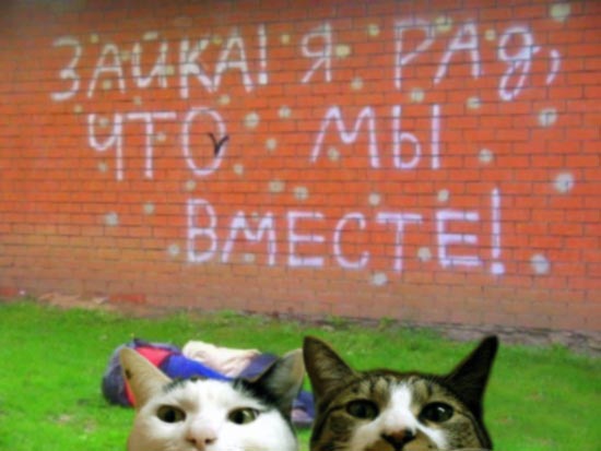 Мы вместе!